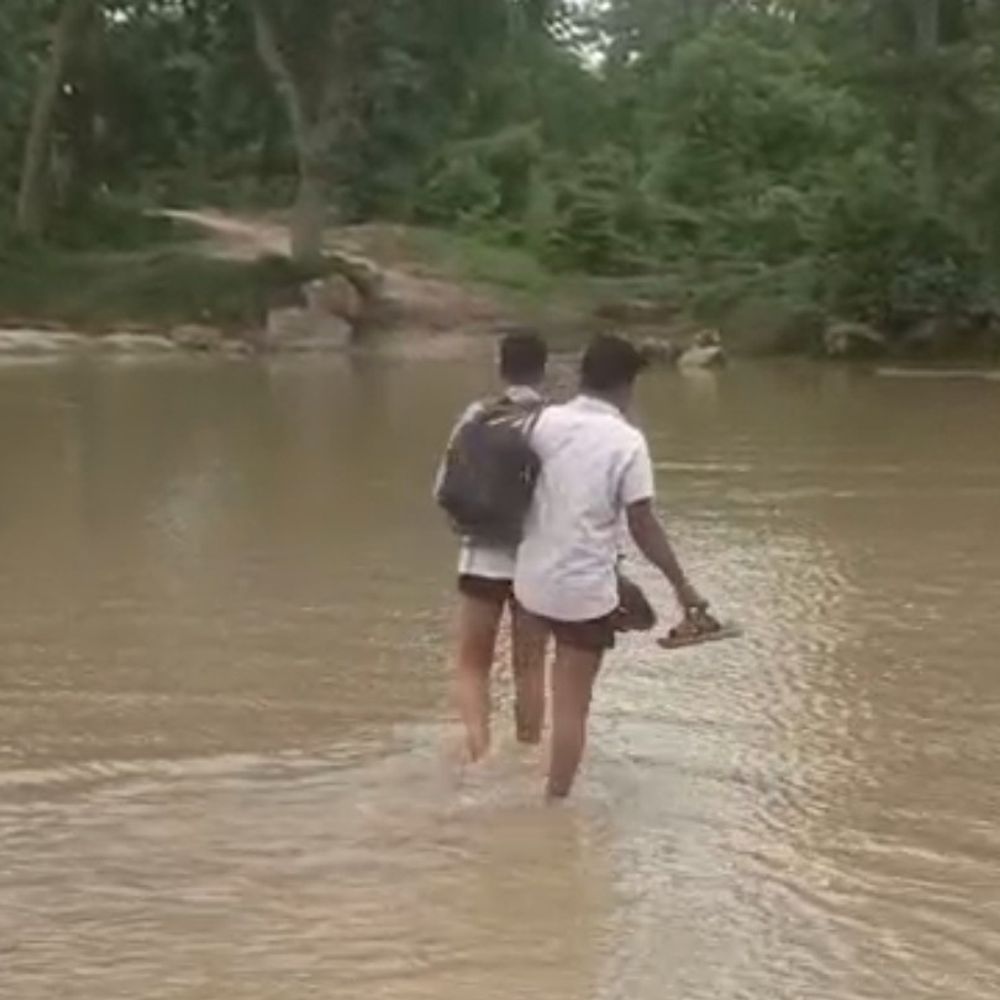 नदी पर पुल नहीं, 4 महीने कट जाता है संपर्क:सिवनी में ग्रामीण जान जोखिम में डालकर पार करते हैं नदी