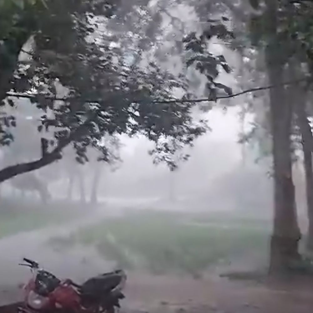 अलनीनो का प्रभाव: अगस्त में सामान्य से 32.57 मिमी कम बारिश