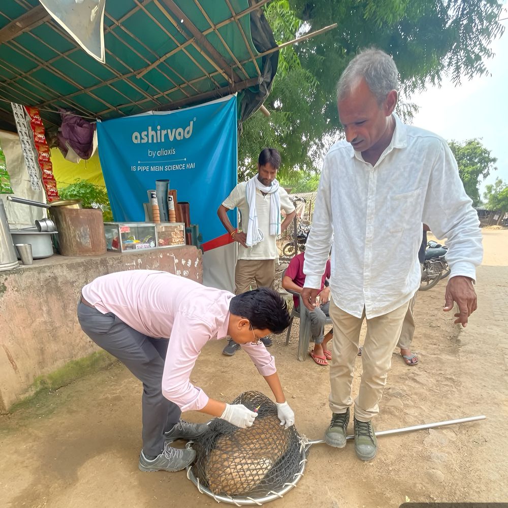 विश्व रैबीज दिवस पर सवाई में श्वानों का किया टीकाकरण