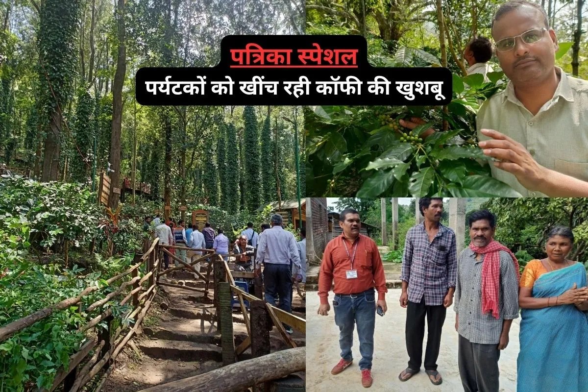 बागान से कप… पर्यटन तक : आंध्र प्रदेश की कॉफी का बदल रहा मॉडल, 2047 तक 50000 मीट्रिक टन उत्पादन का खाका तैयार