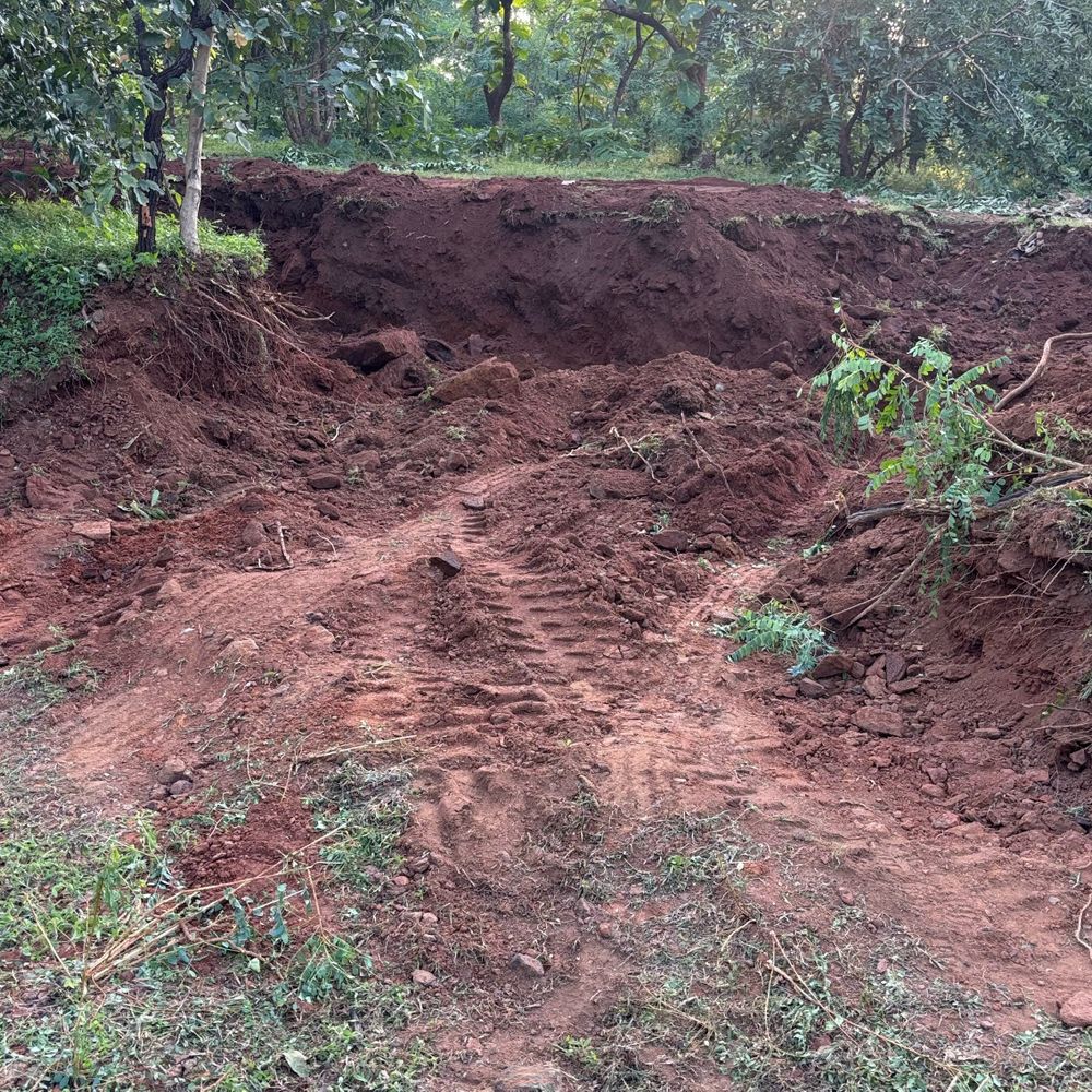 सारनी में वन क्षेत्र से मुरम उत्खनन की शिकायत:ट्रैक्टर-JCB से निकाली जा रही थी मुरम, अधिकारियों ने जांच शुरू की