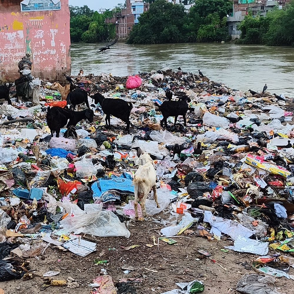 जहानाबाद में नदी किनारे कचरा डंपिंग:दुर्गंध और मच्छरों का प्रकोप, बीमारियों का खतरा बढ़ा