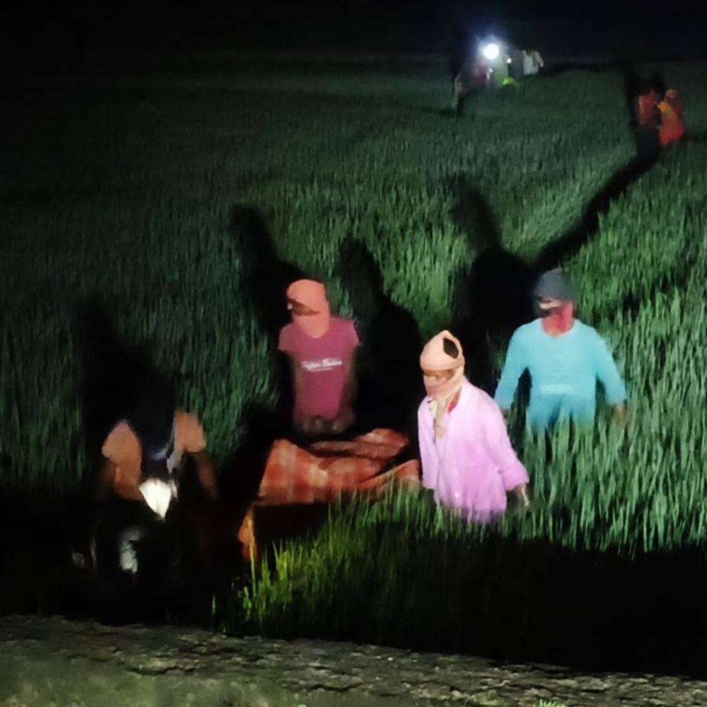 मछली पकड़ने निकले युवक की खेत में मिला शव:बांका में 4 दिन से लापता था युवक, पोस्टमार्टम रिपोर्ट से खुलेगा मौत का राज