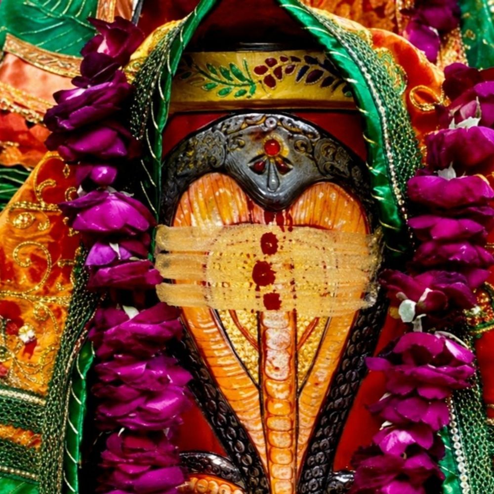 बेरेश्वर खेतलाजी मंदिर में आज मनाया जाएगा पाटोत्सव:गणेश और गोगाजी पूजन के साथ होगी शुरुआत; शाम को होगी भजन संध्या
