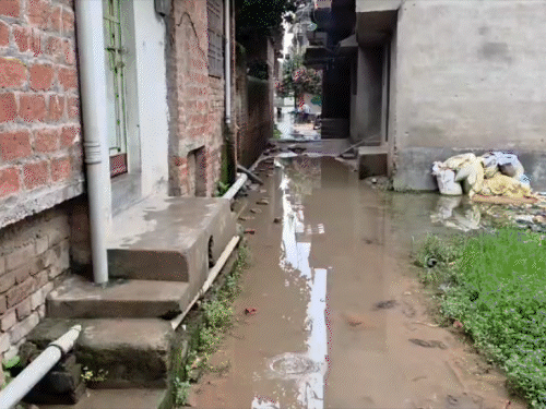 सीवरेज पाइप के लिए खोदी सड़क बनी दलदल:बारिश के बाद जलजमाव भी परेशानी, काम पूरा होने के बाद भी मरम्मत नहीं