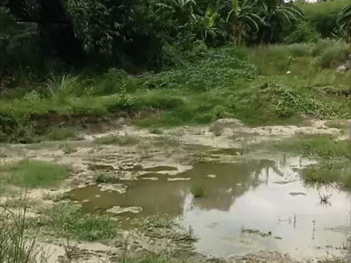 गड्‌ढा खोदकर बेसमेंट का काम रिपोर्ट में दिखाया पूरा:श्मशान की जमीन पंचायत सरकार भवन के लिए चिह्नित, विरोध पर ग्रामीणों को बताया असामाजिक तत्व