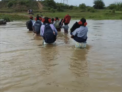 ग्रामीणों ने 70 हजार खर्च कर खुद बनाया चचरी पुल:जमुई के लोगो की बारिश में 5 किलोमीटर घूमने की मजबूरी खत्म, जतहर नदी पर आवागमन आसान