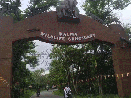 दलमा अभयारण्य में अवैध निर्माणों पर 9 सितंबर को सुनवाई:केंद्रीय समिति करेगी जांच, सुप्रीम कोर्ट में लंबित याचिका से जुड़ा है मामला