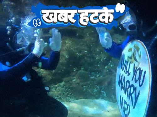 खबर हटके- शार्क के सामने गर्लफ्रेंड को प्रपोज:एक्स्ट्रा मैरिटल अफेयर पर 100 कोड़ों की सजा; बंदर और वकील की पक्की दोस्ती