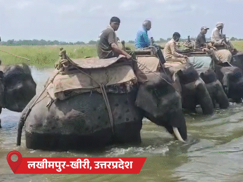 मध्य प्रदेश में मानसून फिर हुआ एक्टिव:बिहार में 44 लाख आबादी बाढ़ में घिरी , यूपी के 26 जिले बाढ़ की चपेट में