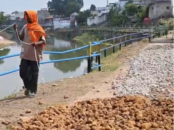 गोटमार मेला– 13 परिवारों के लिए शोक का दिन:किसी ने पिता खोया, तो किसी ने भाई; महिला बोली– बेटे की पढ़ाई छूटी