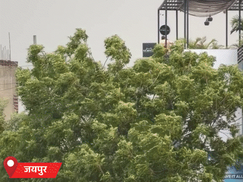 राजस्थान के 7 जिलों में आज बारिश का अलर्ट:सामान्य से 2 दिन की देरी से मानसून की विदाई शुरू, अब तक 22 फीसदी कम बरसात
