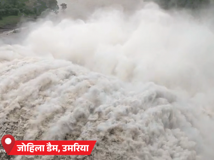 MP में भारी बारिश…बरगी, जोहिला-बिलगांव डैम के गेट खुले:पूर्वी हिस्सा फिर तरबतर, आज 7 जिलों में अलर्ट; अब तक 35.6 इंच पानी गिरा