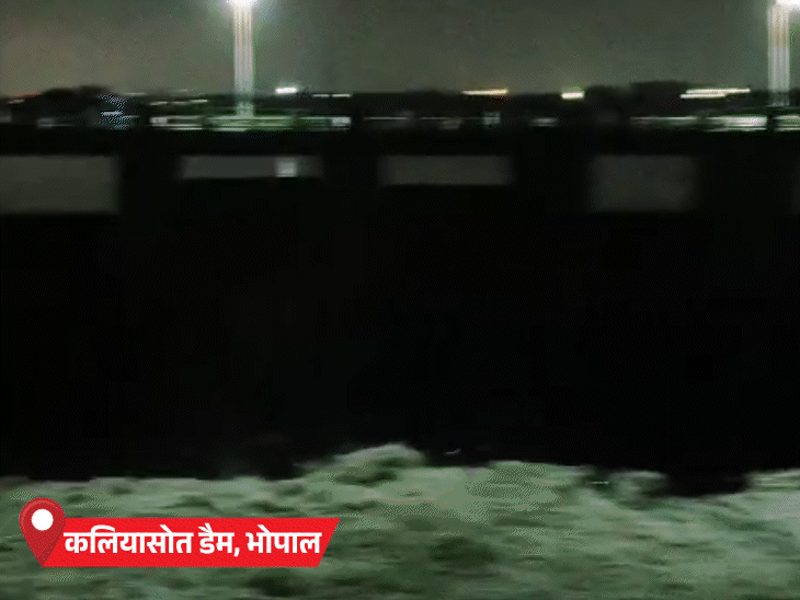 एमपी में बाढ़…नदियां उफान पर, डैम के गेट खुले:ग्वालियर-चंबल, सागर में आज स्ट्रॉन्ग सिस्टम; अब तक 30 इंच से ज्यादा बारिश