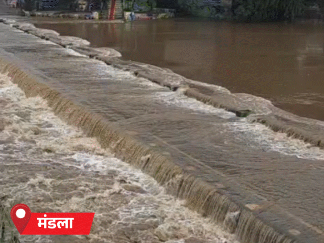 आज से 2 दिन ग्वालियर-चंबल में स्ट्रॉन्ग सिस्टम:MP के 19 जिलों में आज भारी बारिश; शिवपुरी-मुरैना समेत 7 जिलों में स्कूल बंद