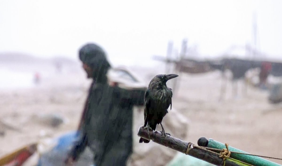 Cyclone Arnab | चक्रवात ‘अर्नब’ ने आंध्र-ओडिशा तट को किया पार! गजपति से 1,500 लोग सुरक्षित निकाले गए, 10 जिलों में स्कूल-आंगनवाड़ी बंद