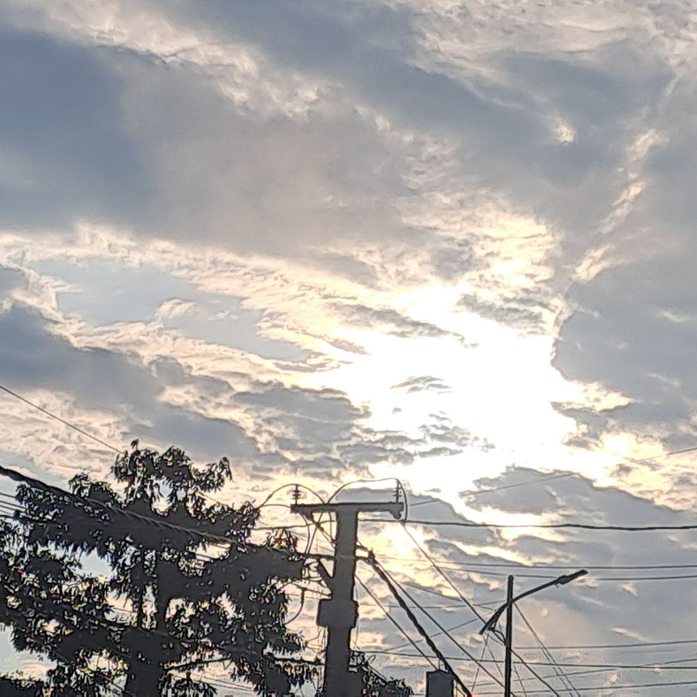 5 दिन बाद गोपालगंज में मौसम बदला, धूप खिली:अधिकतम तापमान 30°C पहुंचा, निचले इलाकों में जलजमाव से राहत