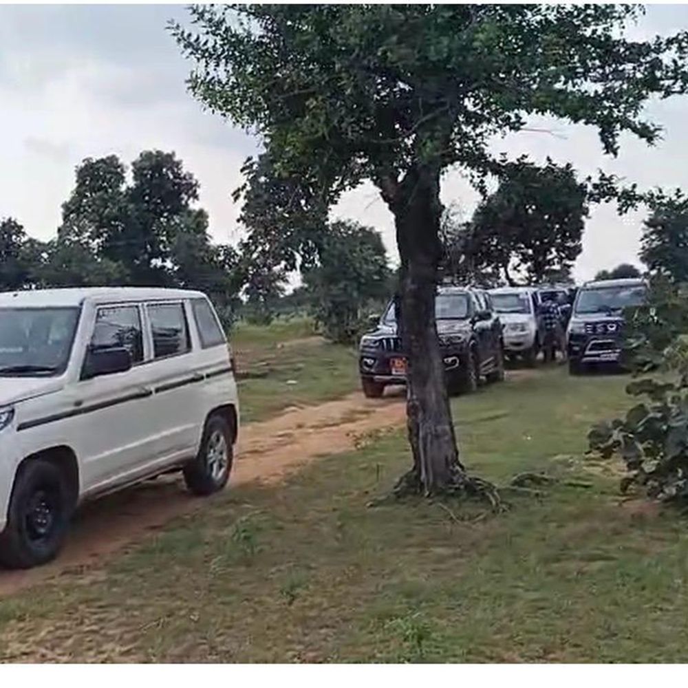 26 दिन से जिले में मूवमेंट कर रही चीता वीरा को ट्रेंकुलाइज किया, कूनों से आई टीम वापस ले गई