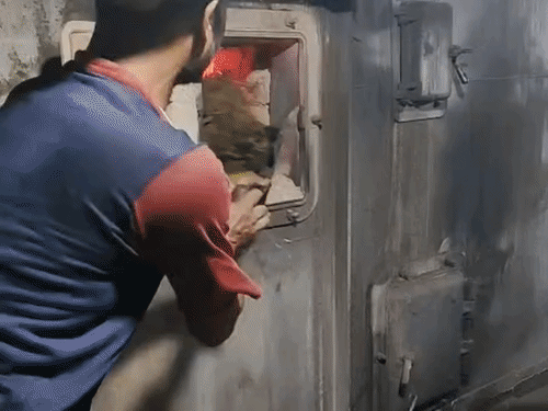 रायपुर पुलिस ने जलाया 2.15 करोड़ गांजा-ड्रग्स…VIDEO:हशीश-ड्रग्स, गांजा-डोडा और नशीली गोलियां लेकर फर्नेस पहुंची अफसर, 77 मामलों में जब्त सामग्री नष्ट