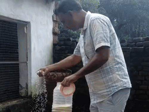 समेकित खेती से कमा रहे सालाना 8 लाख रुपए:जॉब छोड़ पशुपालन-मत्स्य पालन से जुड़े, अंडों की बिक्री से हो रही 5 लाख की आमदनी