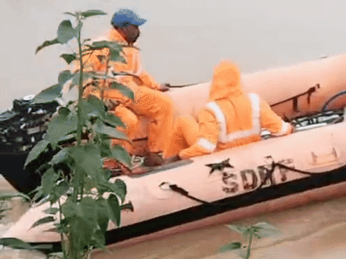 औरंगाबाद में 24 घंटे बाद मिली लापता नाबालिग की लाश:सोन कैनाल में कार गिरने से हुआ था हादसा, घटनास्थल से 2 किलोमीटर दूर मिला शव