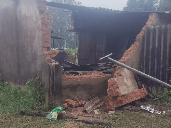 एमसीबी में 12 हाथियों के झुंड ने तीन घर तोड़े:जनकपुर के खेतों में खड़ी फसलें रौंदी, तीन महीने से घूम रहे हाथी, ग्रामीणों में दहशत