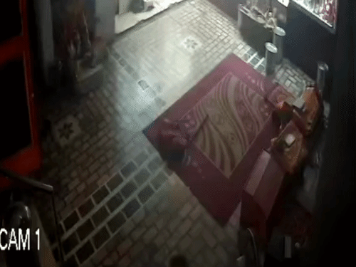यमुनानगर में मंदिर की गुल्लक तोड़कर 3 लाख रुपये चोरी:गरीब परिवार की बेटी के लिए जमा थी राशि, CCTV में कैद हुआ मुंह ढका युवक