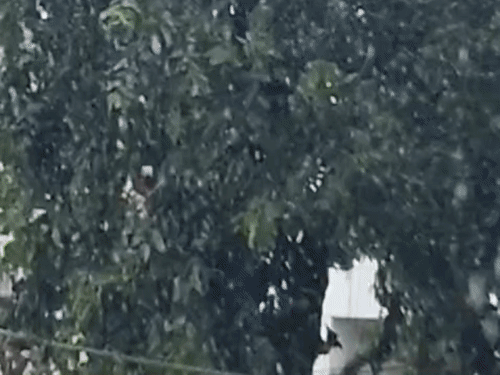 पटना में दो दिन से रुक-रुककर तेज बारिश:शहर में आज छाए रहेंगे बादल, नहीं बदलेगा मौसम का मिजाज; 100 MM से अधिक बारिश दर्ज