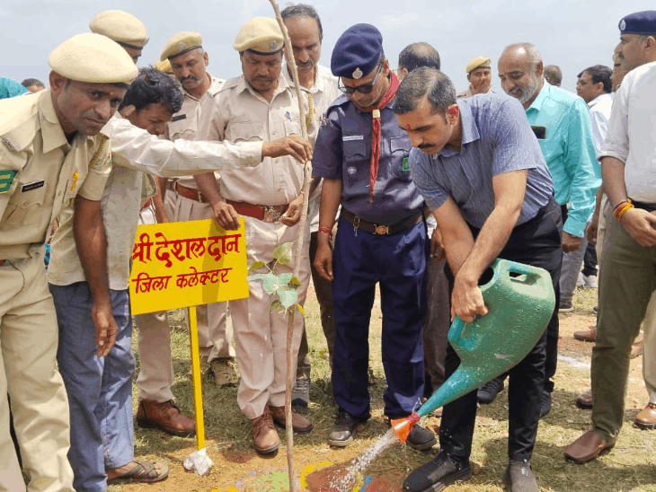 डूंगरपुर में 25 लाख पौधे लगाए:’एक पेड़ मां यशोदा के नाम’ अभियान में पौधारोपण कार्यक्रम