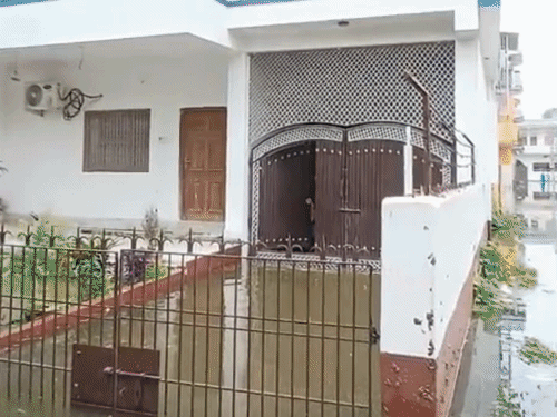 भोजपुरी पावर स्टार के घर में घुसा बाढ़ का पानी:ससुर बोले- दामाद एमएलसी, वे खुद प्रभावितों की मदद कर रहे; लोगों ने कहा- सांप-बिच्छू का डर सता रहा