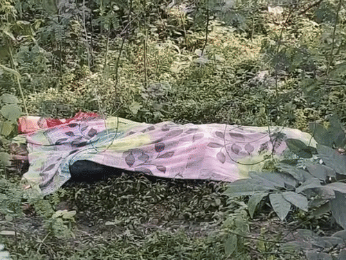 बिलासपुर में गैंगवार…चाकू घोंपकर युवक को मार डाला:पुरानी रंजिश में दो गुटों में विवाद, जमकर चले लाठी-डंडे, जंगल में रात भर पड़ी रही लाश