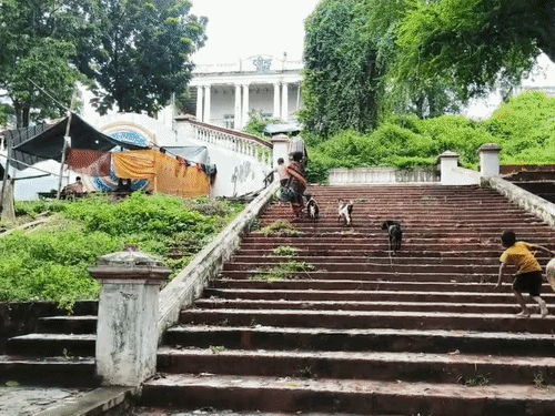 भागलपुर में लगातार हो रहे बारिश से भीग रहे सामान:घर में नहीं बन पा रहा खाना, बाढ़ पीड़ित बोले- हर साल खुले आसमान के नीचे रहना मजबूरी