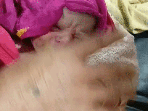 ‘ये मेरा नाती नहीं, मेरे घर भगवान आए हैं’:समस्तीपुर में नवजात के जन्म के बाद बोली नानी, मां बोली- व्रत रखा था, भगवान ने आशीर्वाद दिया