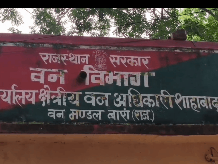 आदिवासी क्षेत्र में स्टोरेज प्लांट पर वन विभाग ने जताई:पेड़ कटने से भूस्खलन का बताया खतरा, अंतिम मंजूरी से पहले अटका प्रोजेक्ट