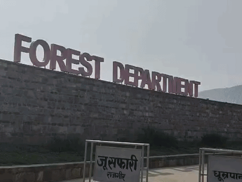 राजगीर में 27 सितंबर को सजेगी ‘बटरफ्लाई वॉक:आयोजन में भाग लेने के लिए पूर्व पंजीकरण अनिवार्य; ऑनलाइन फॉर्म लिंक से रजिस्ट्रेशन करा सकेंगे
