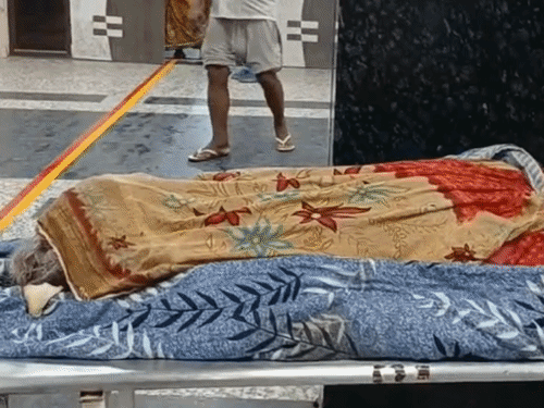 भोजपुर में सड़क हादसे में घायल महिला की मौत:बेटे संग वृद्धा पेंशन के लिए ऑनलाइन आवेदन करने जा रही थी, दो बाइक की टक्कर में लगी थी चोट