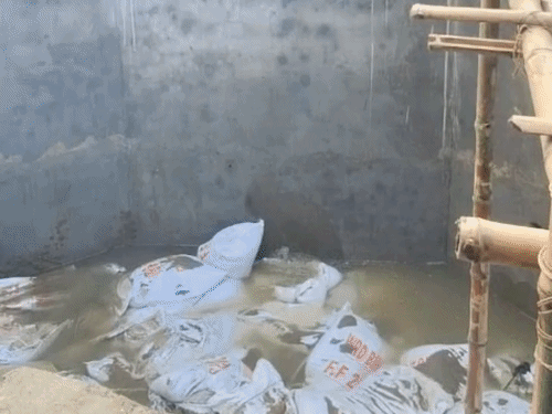 भागलपुर में गंगा के दबाव से स्लुइस गेट से रिसाव:नारायणपुर में 5 दिनों से रिस रहा पानी, अधिकारियों ने लिया जायजा; तटबंध पर खतरा