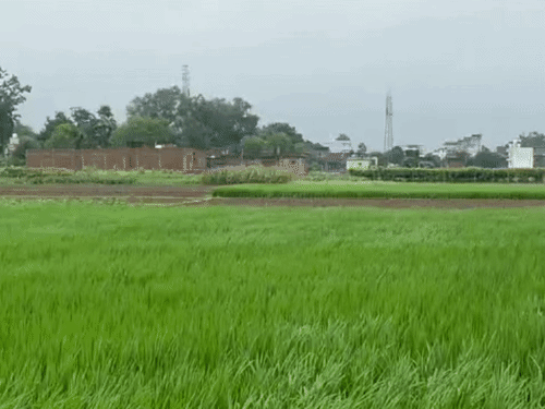 औरंगाबाद में बदला मौसम, बादल-ठंडी हवाओं से गिरा पारा:26 सितंबर तक बारिश के आसार, किसानों के लिए एडवाइजरी जारी