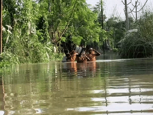 मुजफ्फरपुर में बागमती खतरे के निशान से ऊपर:कटरा-गायघाट के कई गांव जलमग्न, नदी का पानी घरों में घुसा; नाव के सहारे कट रही जिंदगी