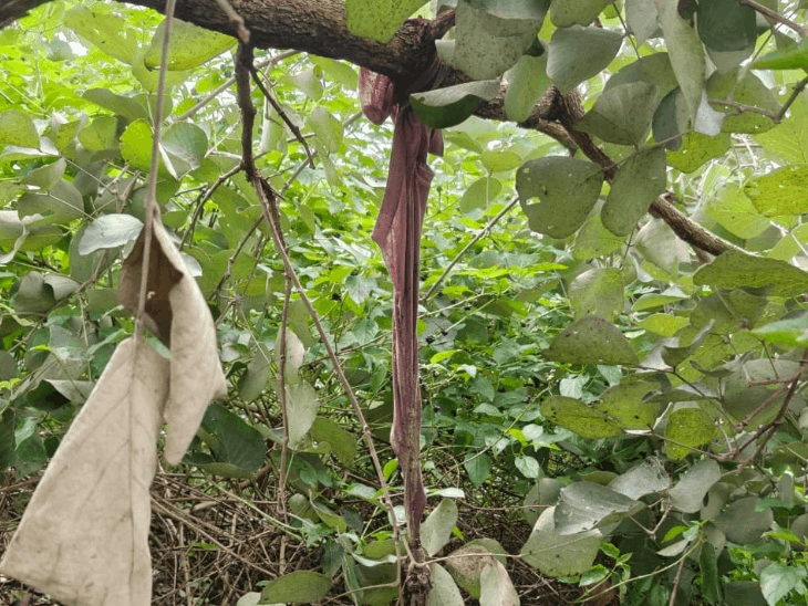 रतलाम में लापता युवक का कंकाल मिला:20 दिन से लापता था, कपड़ों से हुई पहचान, सुसाइड की आशंका