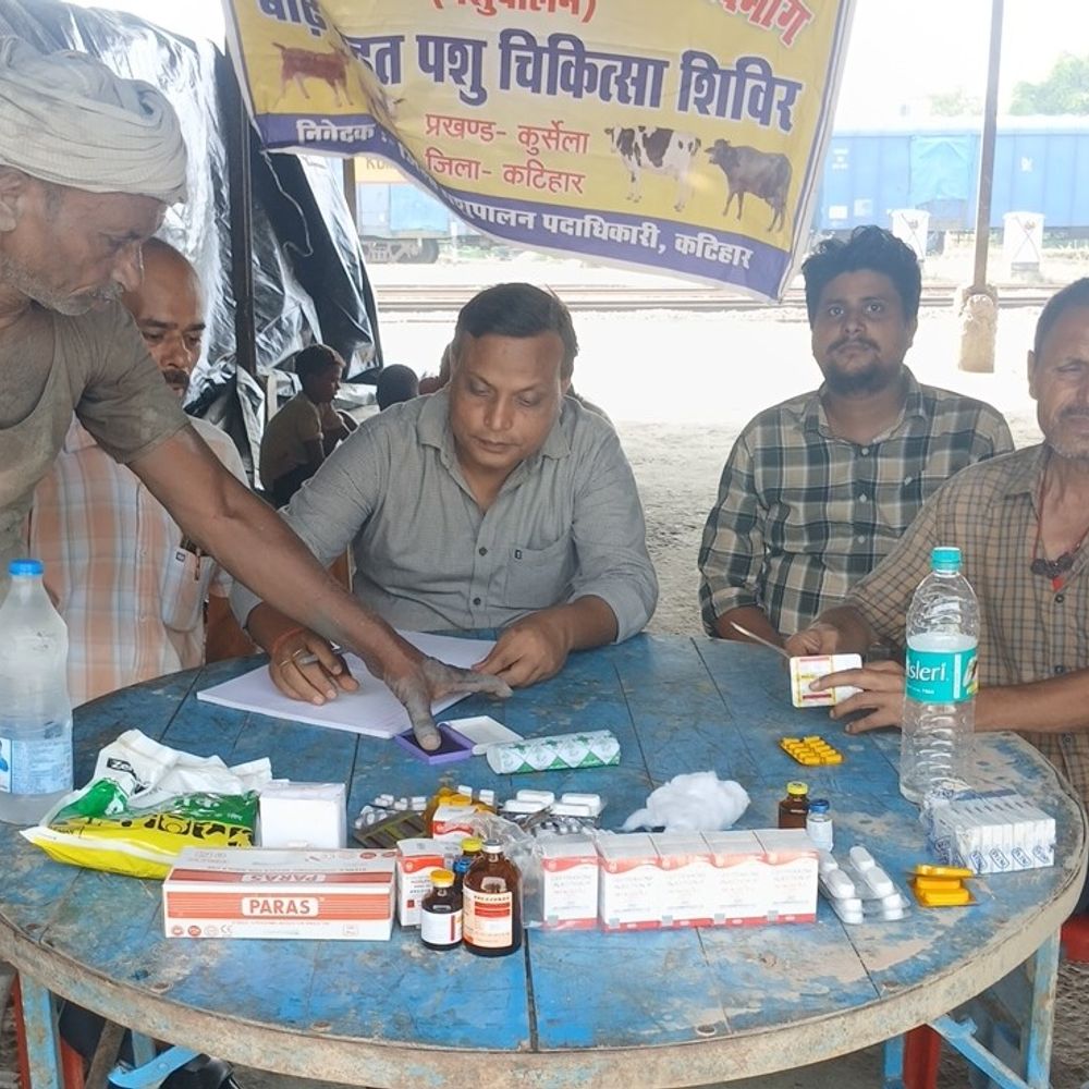 धान की फसल पर ‘कंडुआ रोग’ का खतरा:जिला कृषि पदाधिकारी ने जारी की एडवाइजरी, जानें लक्षण और बचाव के उपाय