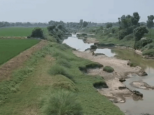सिरसा के किसान सूखा और खाद की झेल रहे मार:पहले बारिश नहीं हुई, घग्गर सूखी जैसी, डीएपी मिल नहीं रही, चक्कर काट रहे