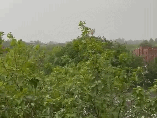 हरियाणा में कल से फिर एक्टिव होगा मानसून:3-4 सितंबर को कई जिलों में तेज बारिश; पंचकूला-अंबाला समेत कई जगह येलो अलर्ट