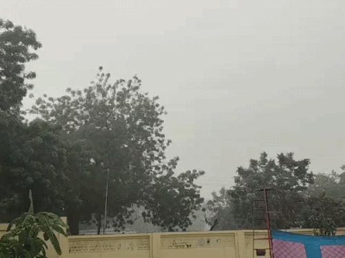 मेरठ में गुरुवार सुबह से तेज बारिश शुरू:दिनभर बादल-धूप के बीच बूंदाबांदी और गरज-चमक के आसार