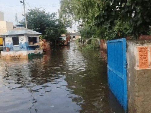 जींद में रात को आंधी के साथ बारिश:100 से अधिक बिजली के खंभे और पेड़ टूटे; मंडी में घुटनों तक भरा पानी
