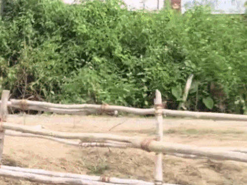मुख्यमंत्री सम्राट चौधरी आज राजनगर परिसर का करेंगे दौरा:ऐतिहासिक-धार्मिक स्थलों का लेंगे जायजा; पिलखवार गांव में निजी कार्यक्रम में होंगे शामिल