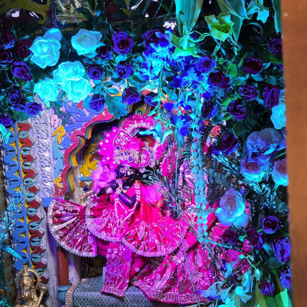 संभल के मंदिरों में श्रीकृष्ण जन्माष्टमी की धूम, मटकी फोड़ी:एसपी-एएसपी ने की पूजा, बच्चों ने राधा-कृष्ण के स्वरूप में झांकियां सजाईं