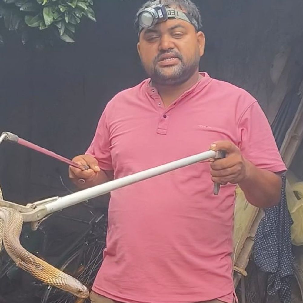 घर में बक्सा खोला तो फन फैलाकर बैठा था कोबरा:पाकुड़ के चांदपुर गांव में सर्पमित्र ने 4.5 फीट लंबे सांप को रेस्क्यू कर जंगल में छोड़ा