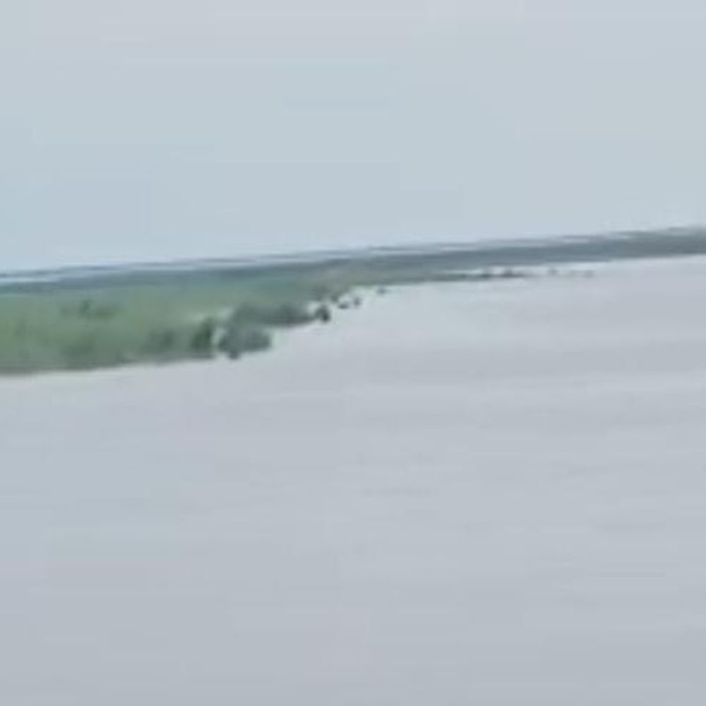 सरयू नदी का जलस्तर बढ़ा, मांझा क्षेत्र में कटान तेज:इटौरा ढोलीपुर गांव में किसानों की चिंता बढ़ी, प्रशासन बोला- स्थिति सामान्य
