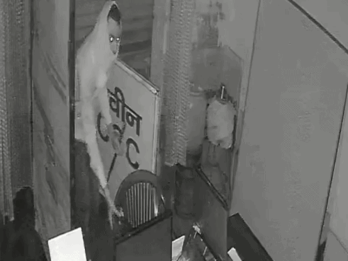 जुलाना में CSC सेंटर से एक लाख कैश चोरी:दुकान मालिक के मकान की कुंडी लगाई, सीसीटीवी में कैद हुआ चोर